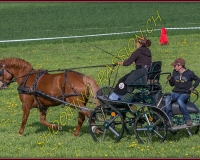 1POSIEUX 0226
